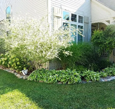 Property with palm trees in Ann Arbor, MI.